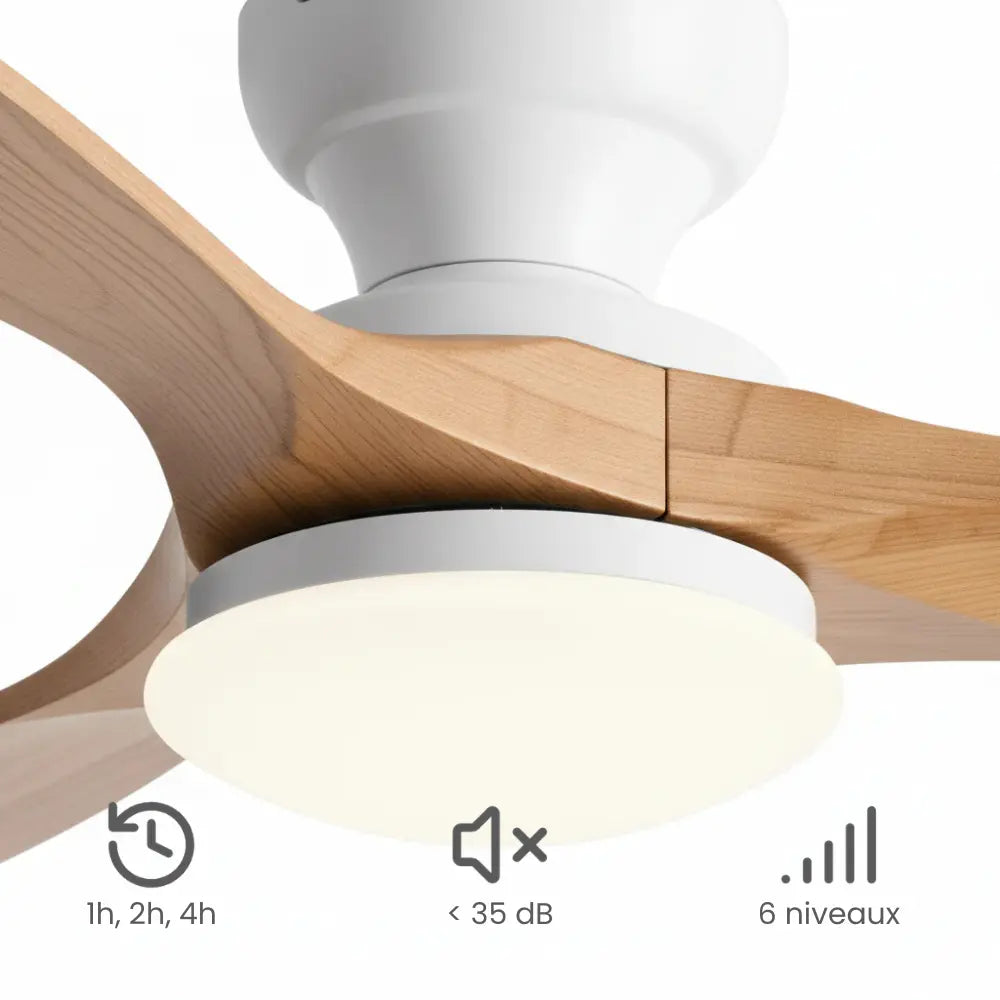 Ventilateur de plafond LED à pales claires et moteur blanc — Cardère