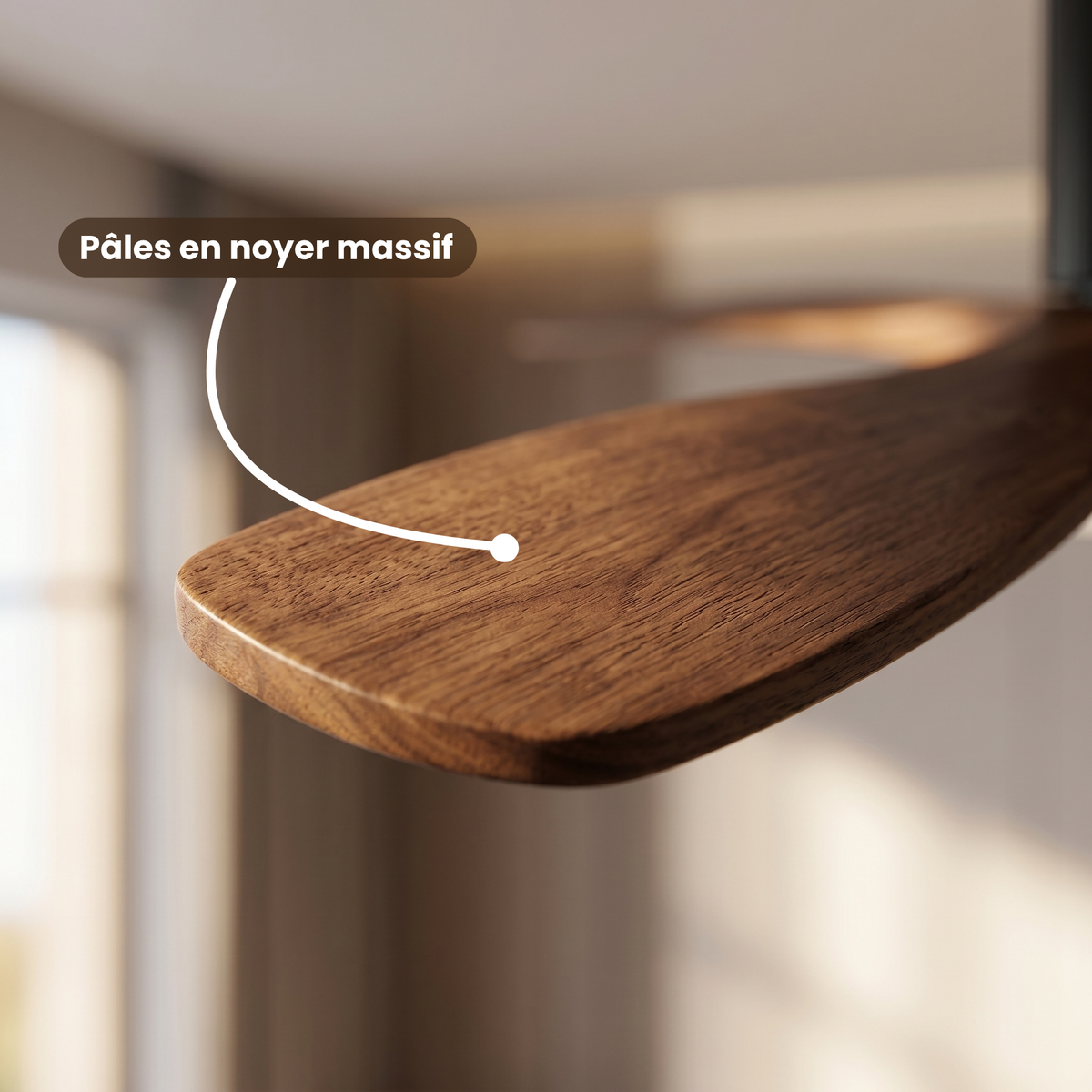 Ventilateur de plafond plat en noyer et cylindre noir mat — Arabesque