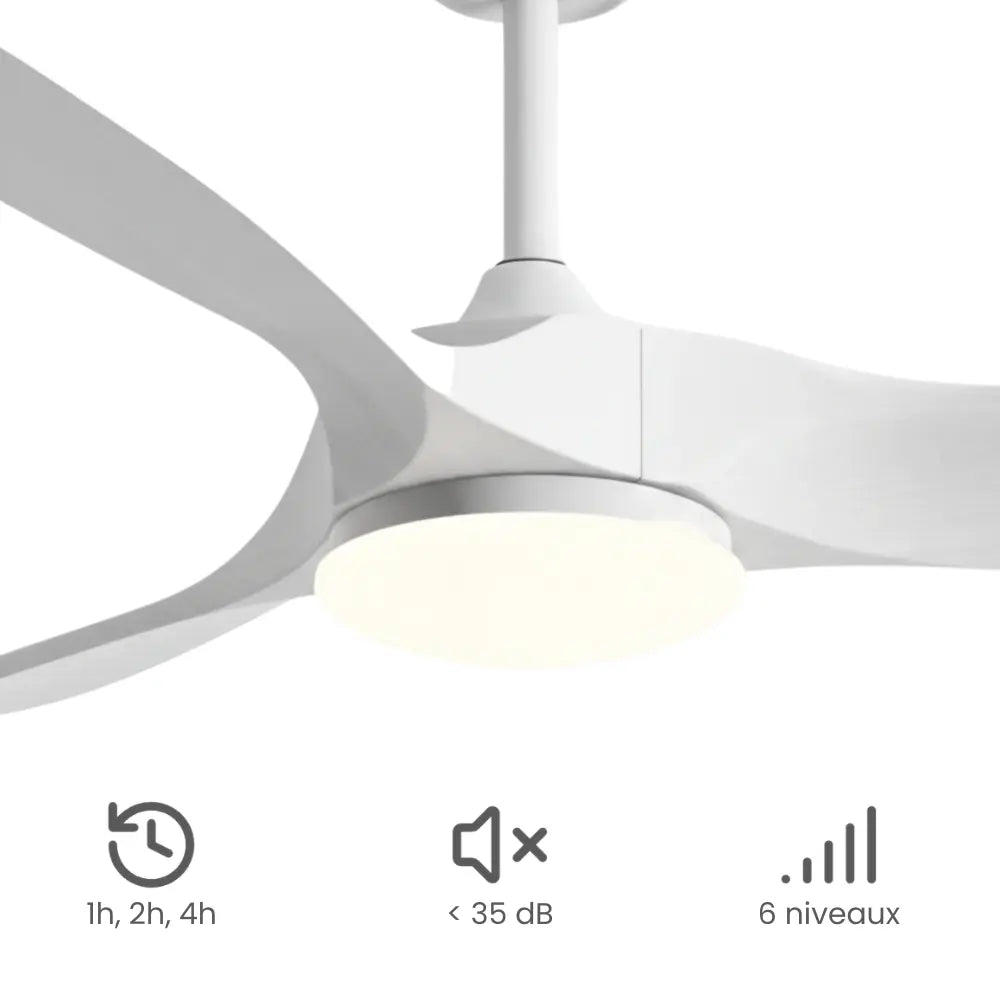 Ventilateur de plafond en bois laqué blanc avec lampe LED — Ciselure