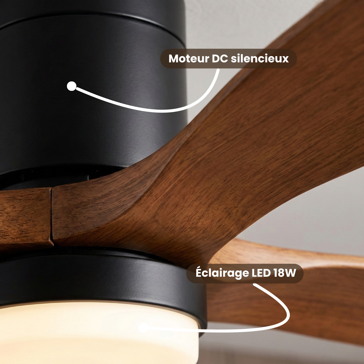 Ventilateur de plafond plat en noyer et cylindre noir mat — Arabesque