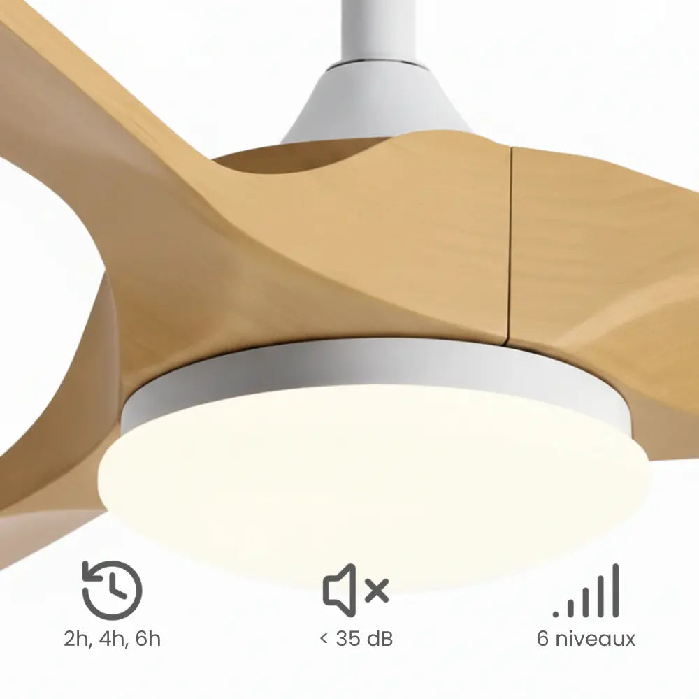 Ventilateur de plafond rétro bois miel et lampe intégrée — Cochenille