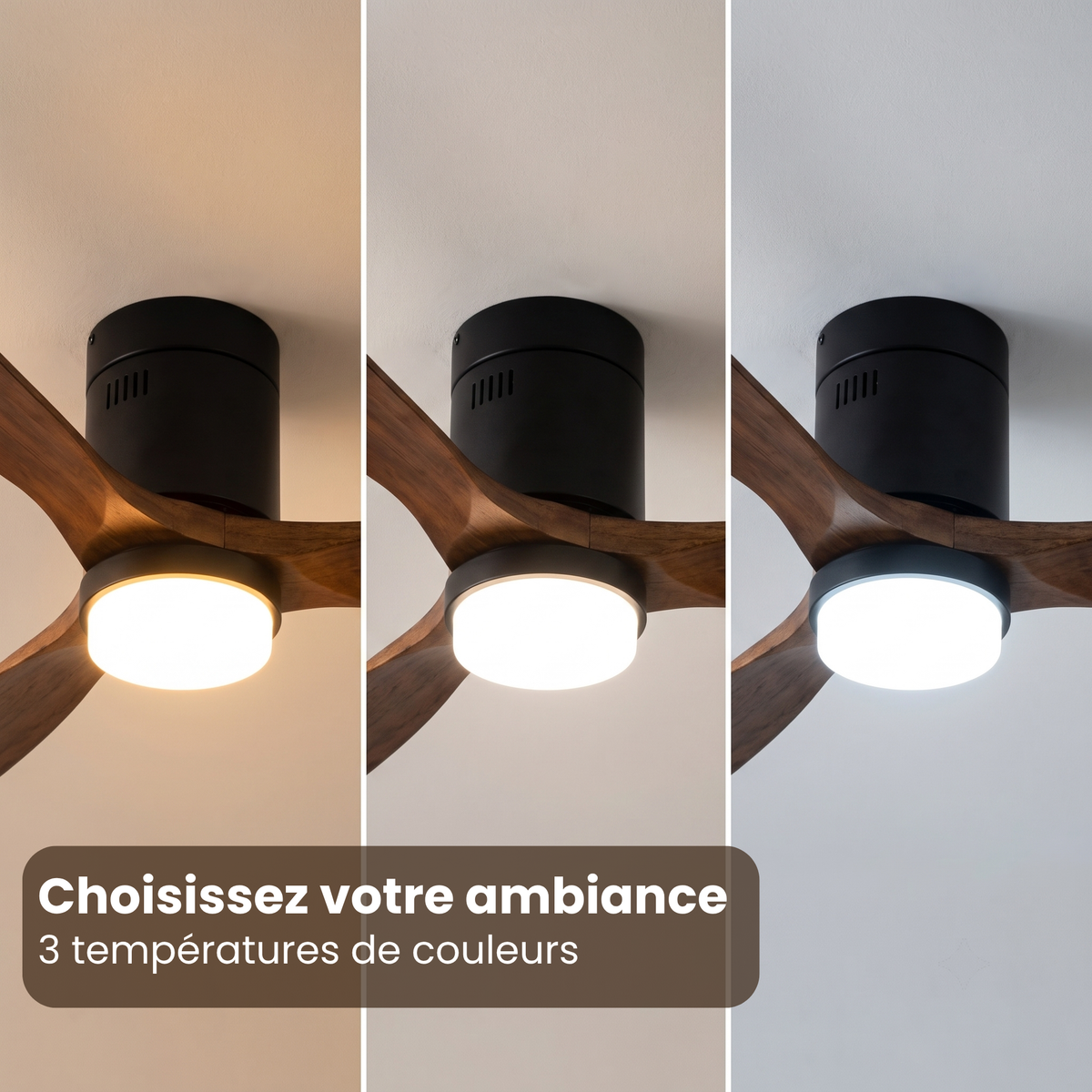 Ventilateur de plafond plat en noyer et cylindre noir mat — Arabesque