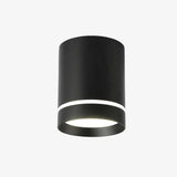 Spot moderne LED cylindre métal coloré Loft