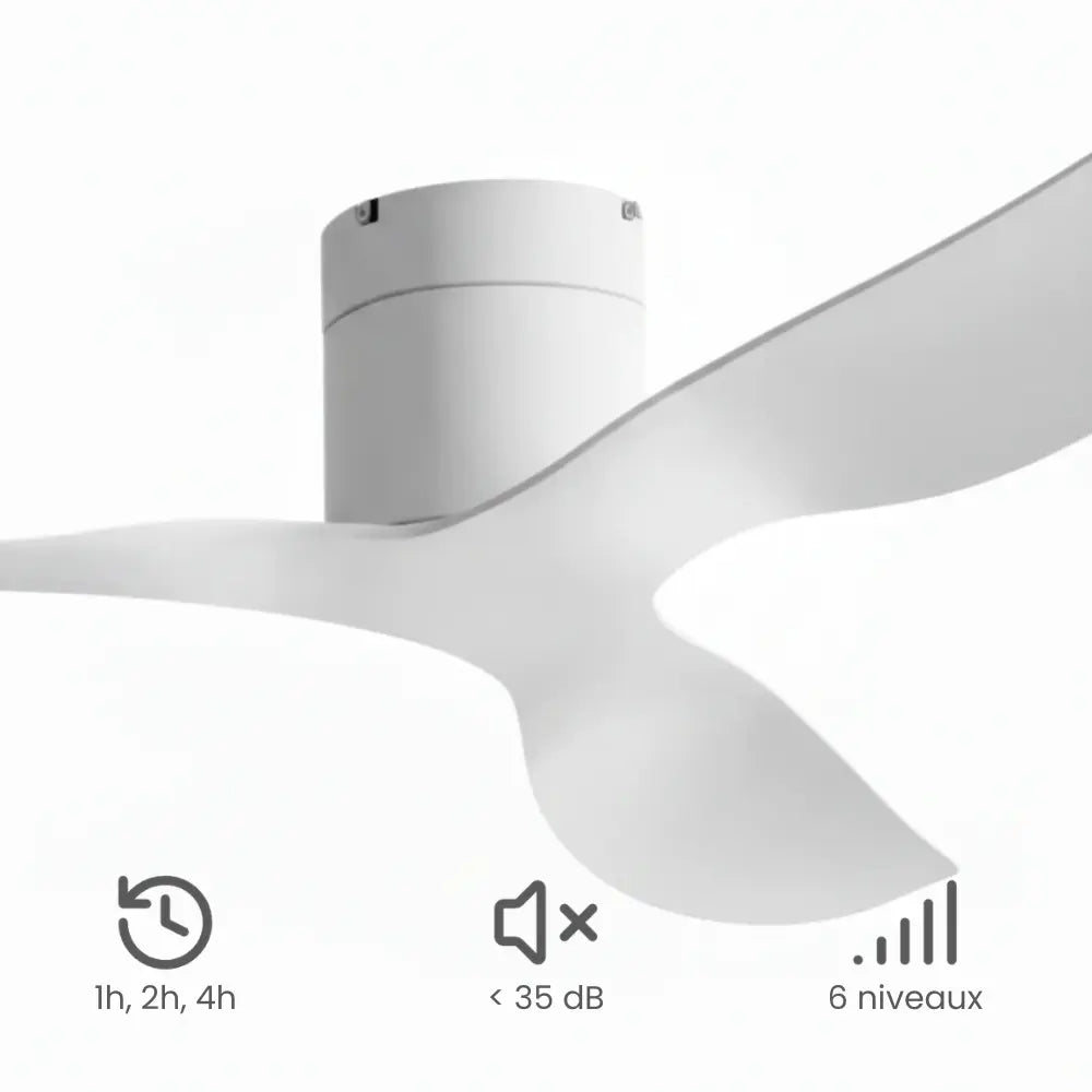 Ventilateur de plafond blanc à trois pales incurvées — Cardon