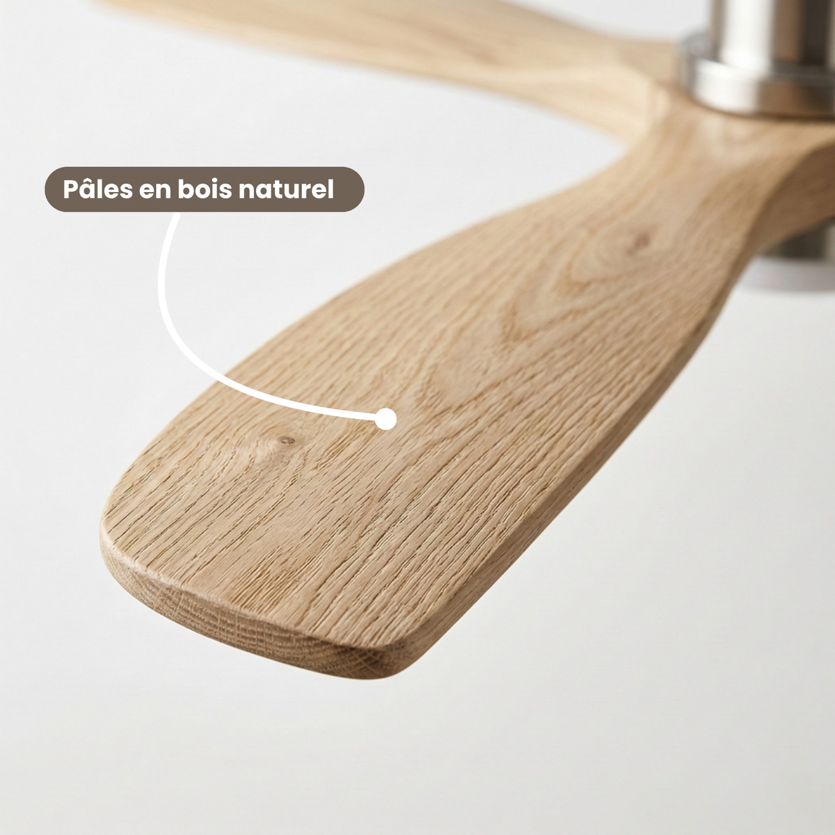 Ventilateur de plafond en bois clair et nickel brossé avec LED — Agave