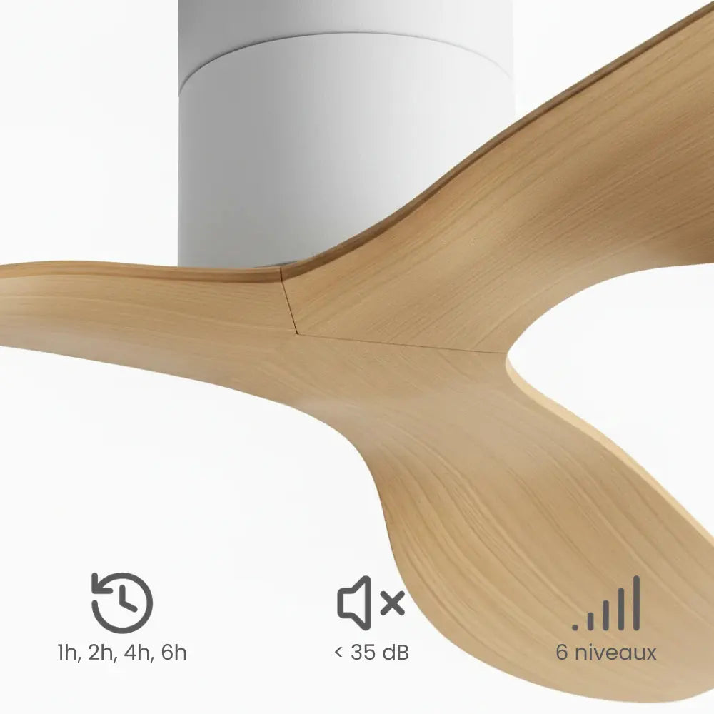 Ventilateur de plafond plat à trois pales en bois clair — Carline