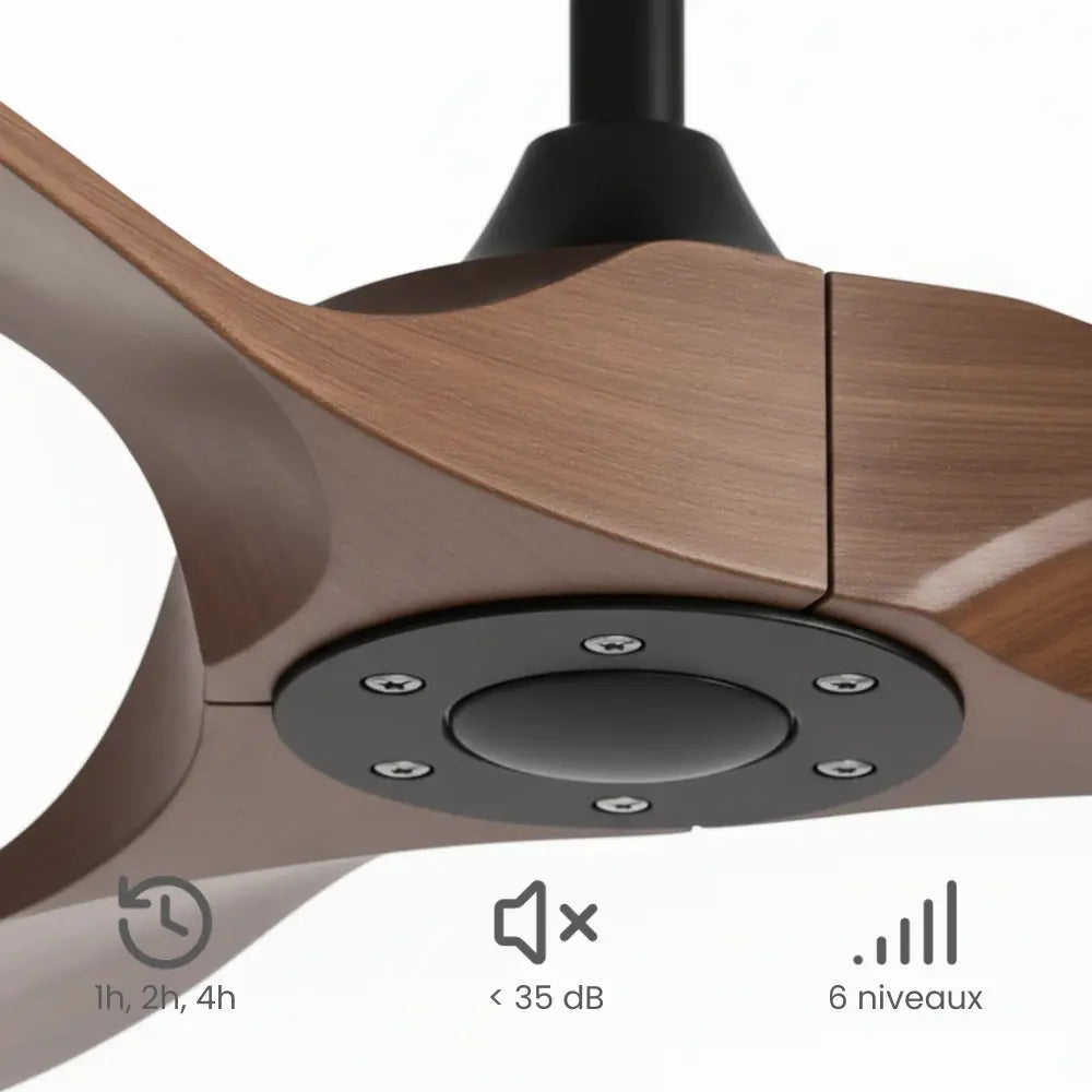 Ventilateur de plafond noir à pales en bois foncé — Ciguë