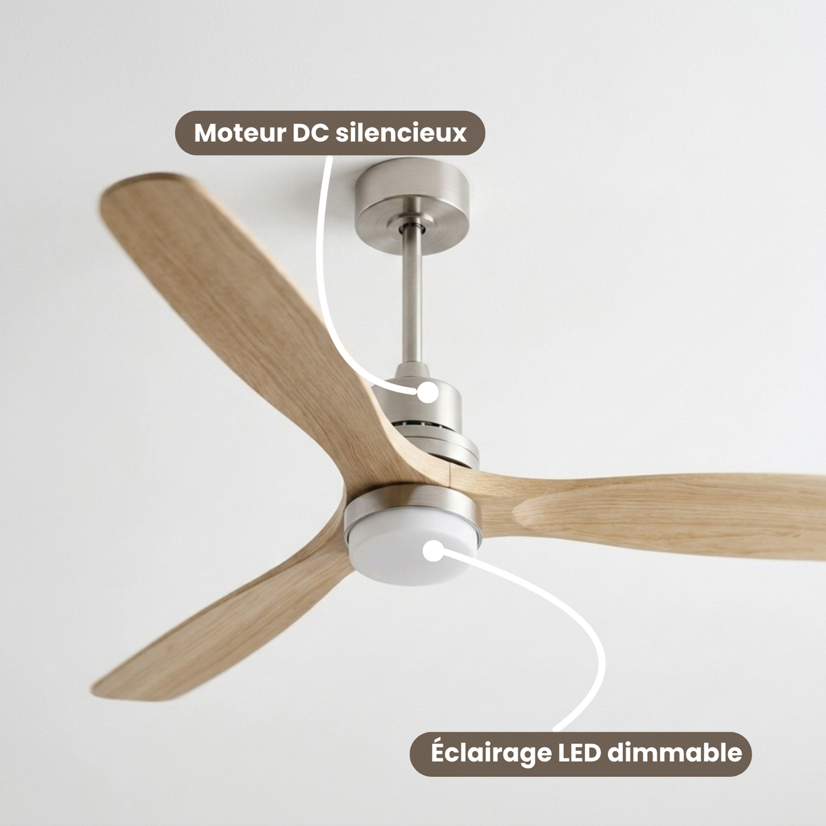 Ventilateur de plafond en bois clair et nickel brossé avec LED — Agave