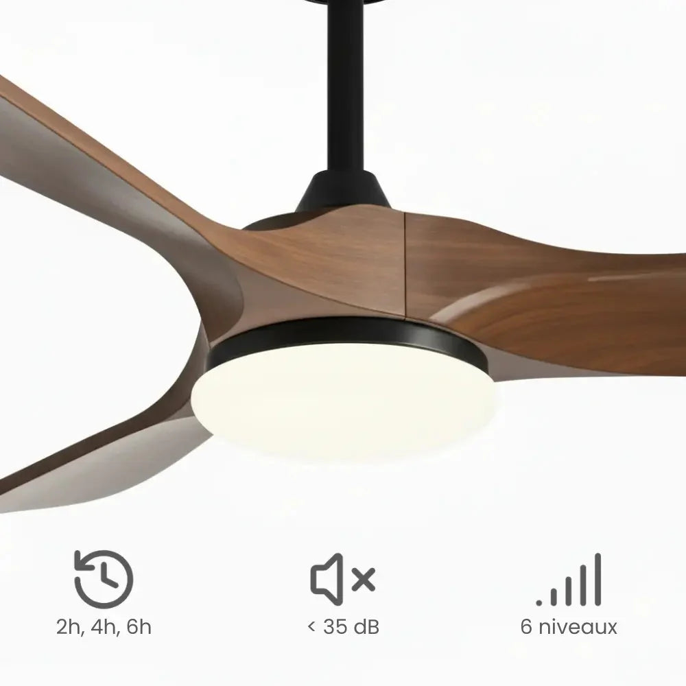 Ventilateur de plafond noir et bois foncé avec LED centrale — Clovisse