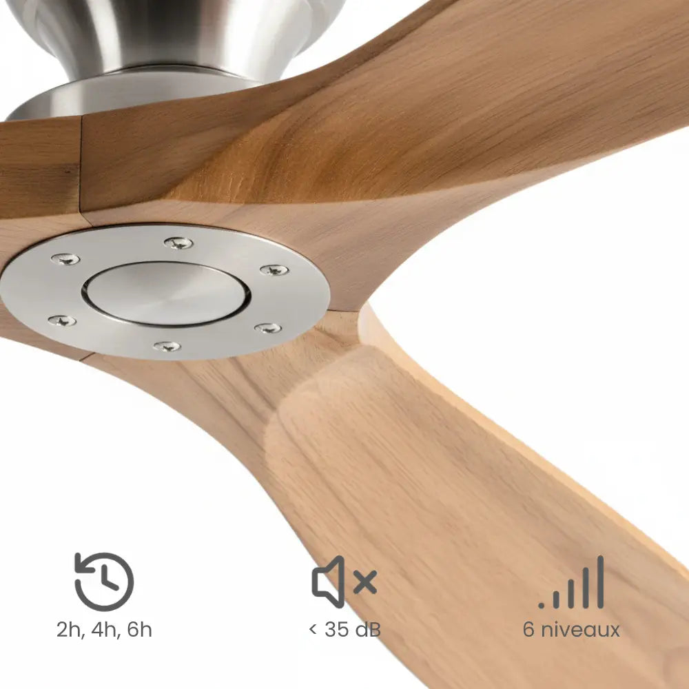 Ventilateur de plafond à pales en bois clair et moteur chromé — Cannage