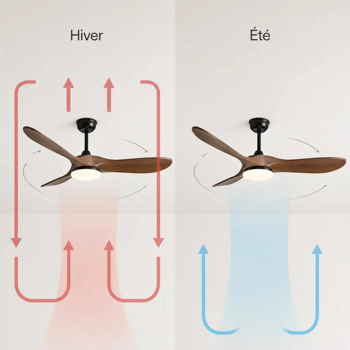 Ventilateur de plafond noir et bois foncé avec LED centrale — Clovisse