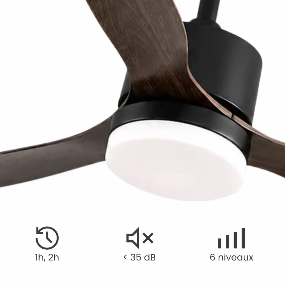 Ventilateur de plafond à trois pales noyer et globe LED — Cherline