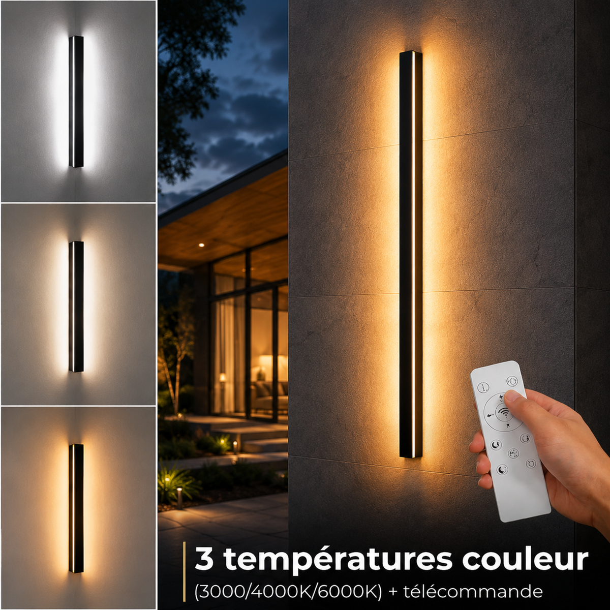 Réglette murale extérieure ultra-fine en métal noir — Épeautre
