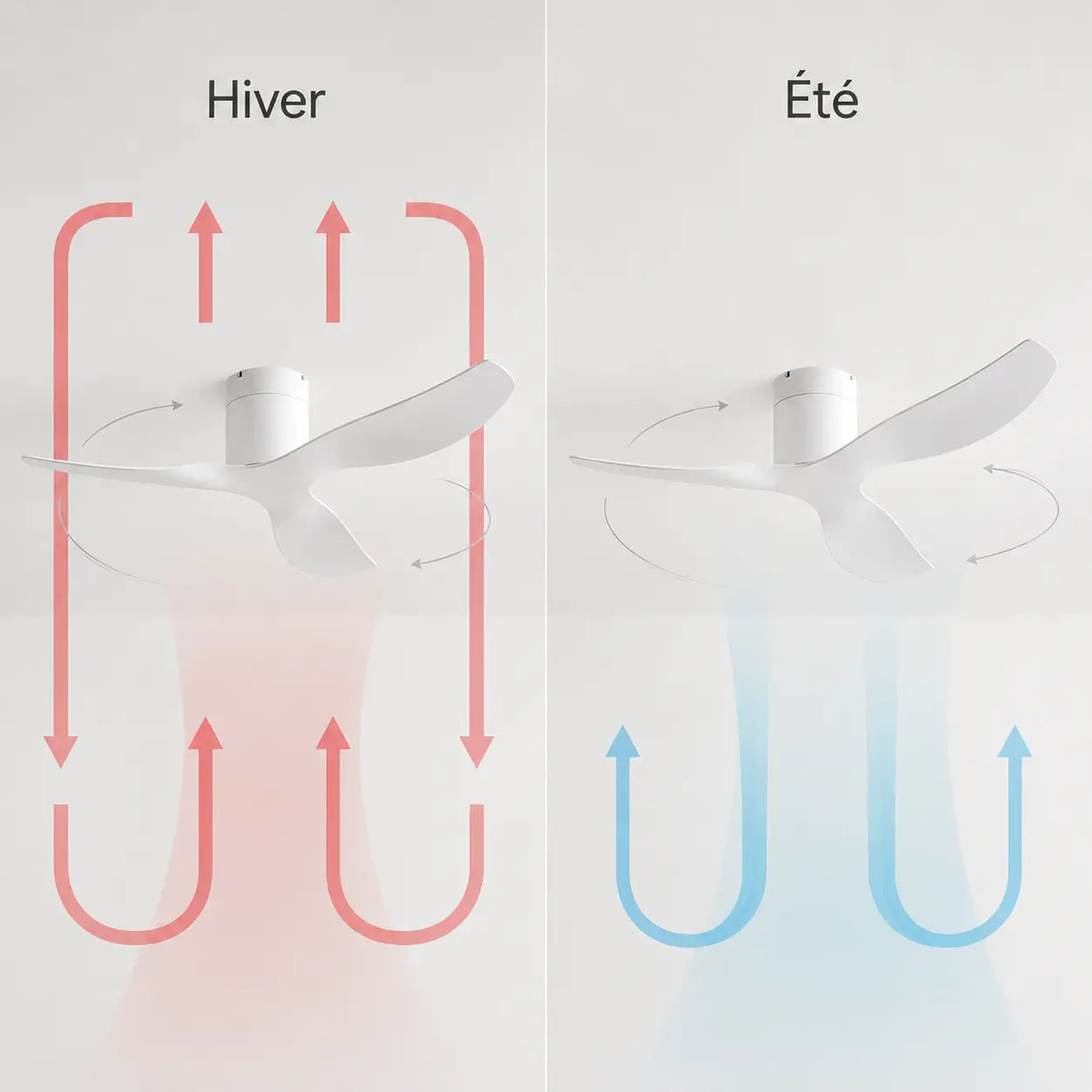 Ventilateur de plafond blanc à trois pales incurvées — Cardon