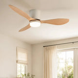 Ventilateur de plafond plat bois clair avec lampe intégrée — Chaumine