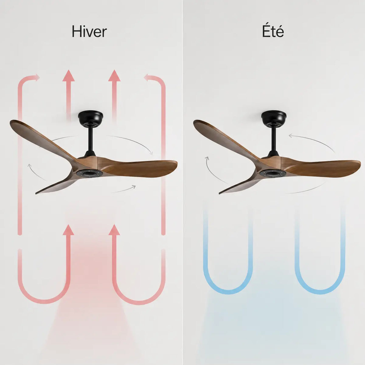 Ventilateur de plafond noir à pales en bois foncé — Ciguë