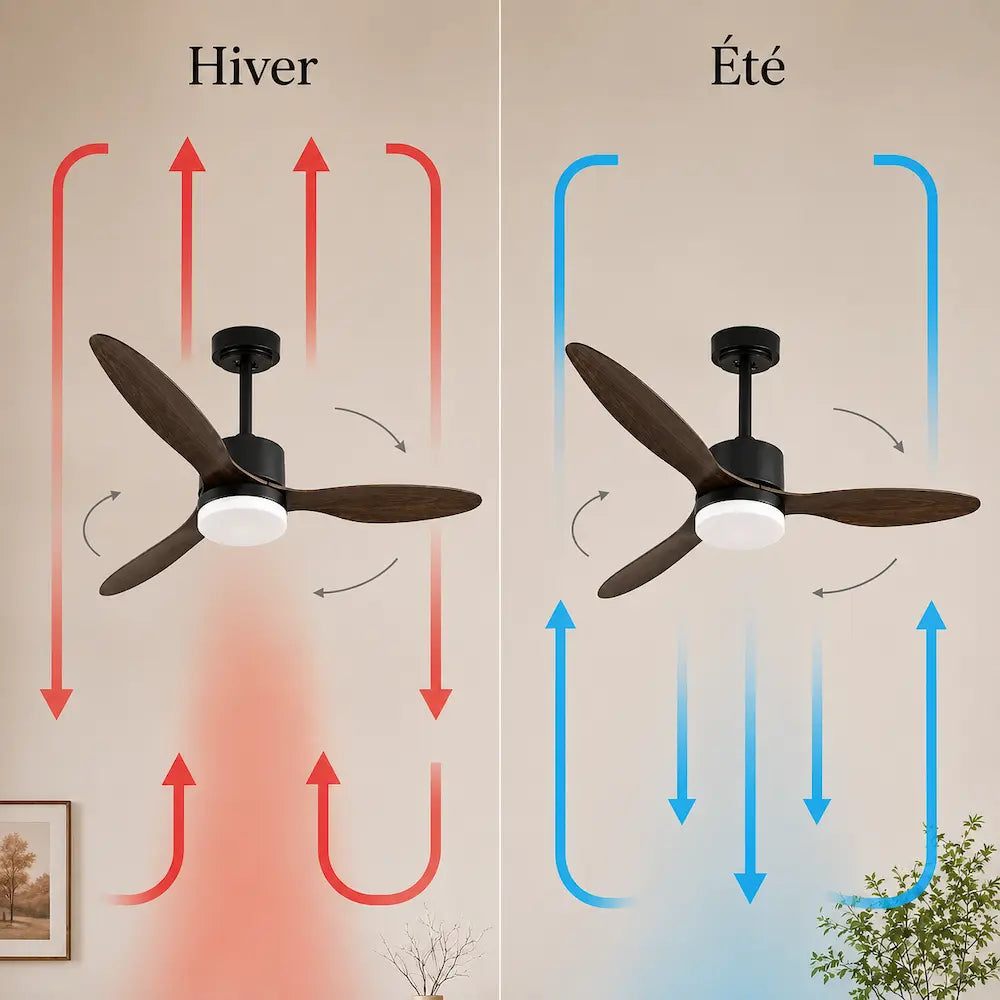 Ventilateur de plafond à trois pales noyer et globe LED — Cherline