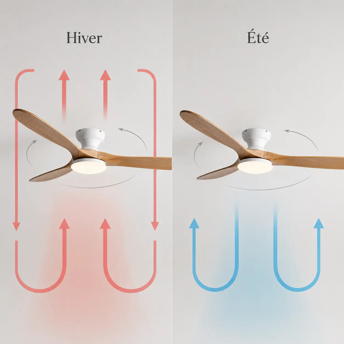 Ventilateur de plafond LED à pales claires et moteur blanc — Cardère