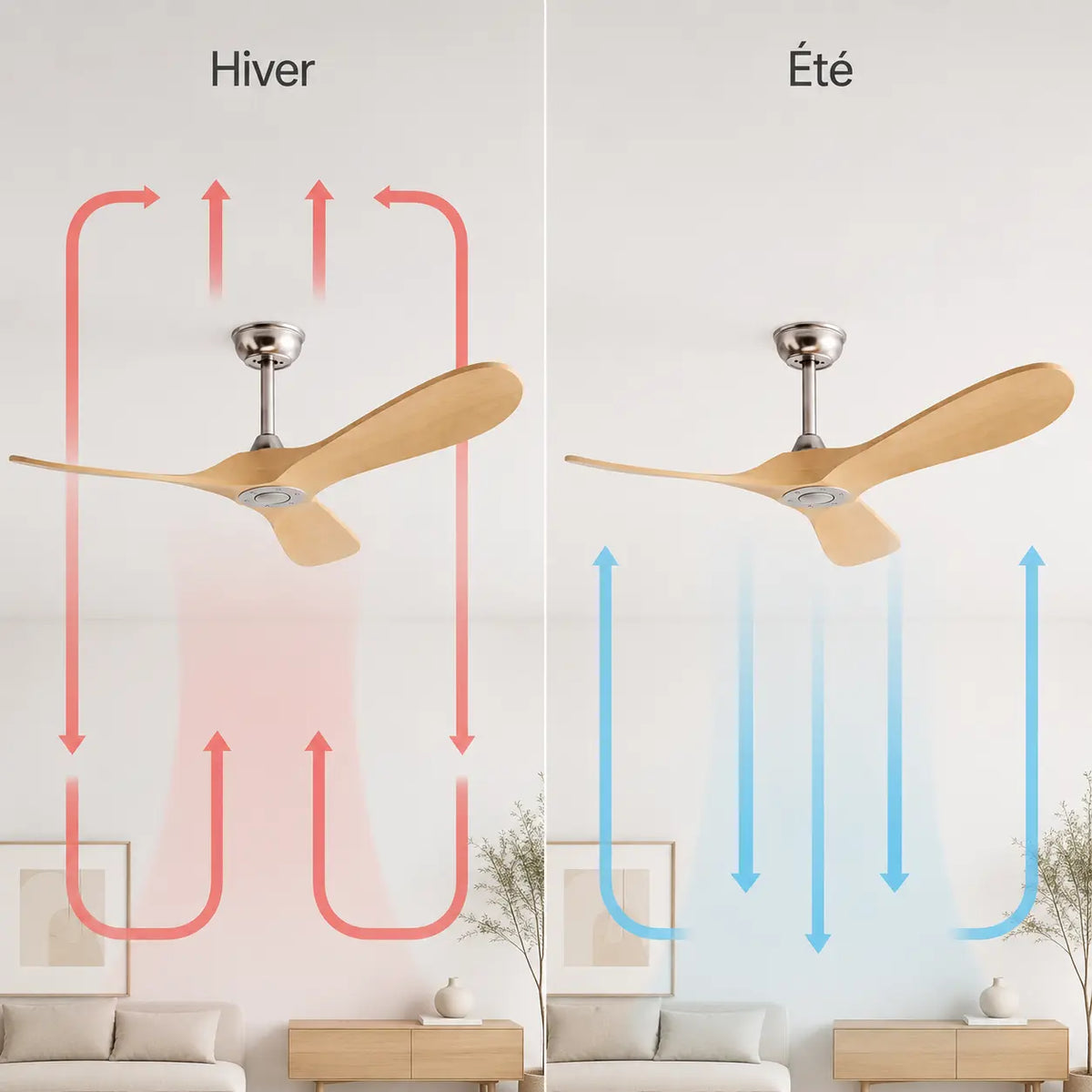 Ventilateur de plafond bois clair et moteur chromé — Cierge