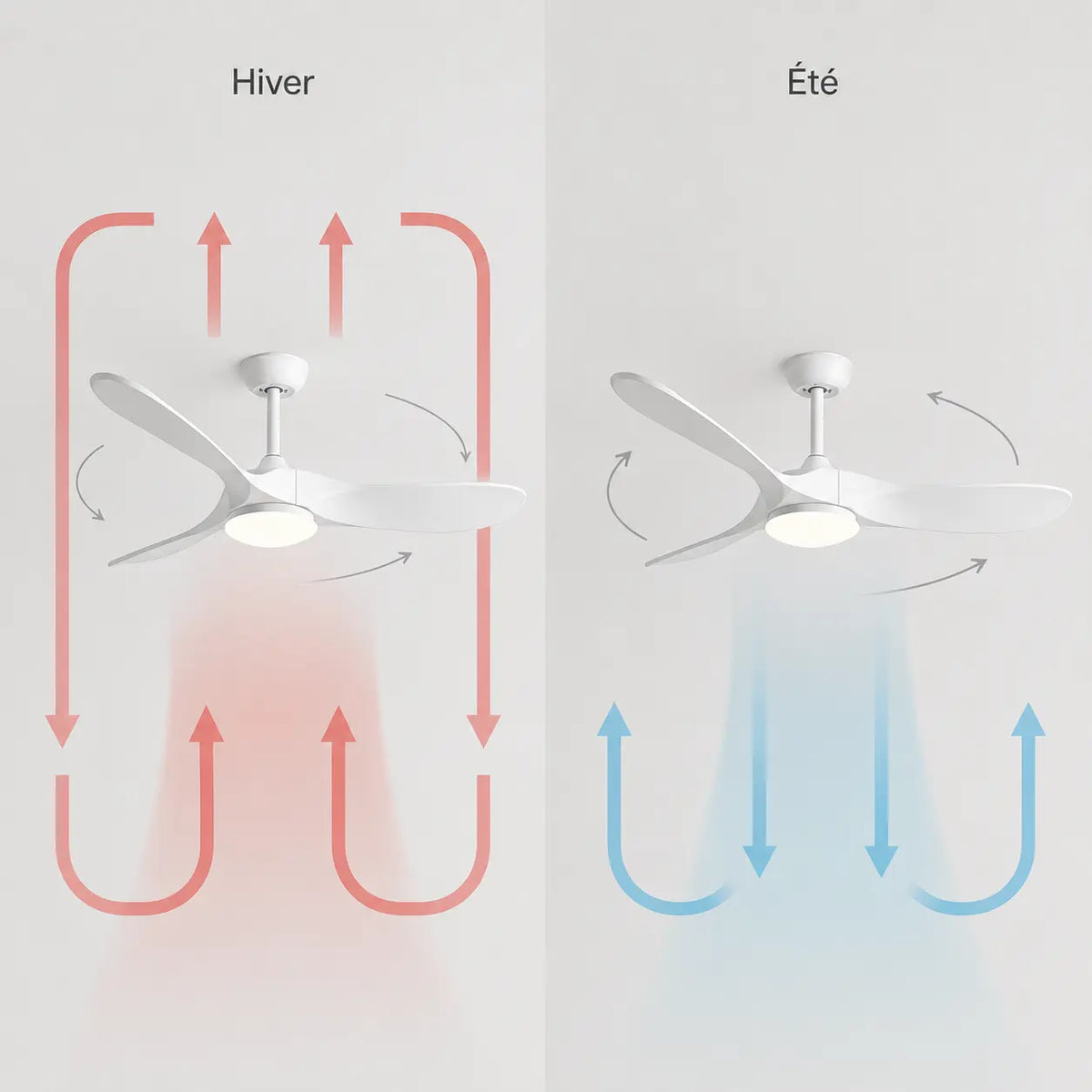 Ventilateur de plafond en bois laqué blanc avec lampe LED — Ciselure