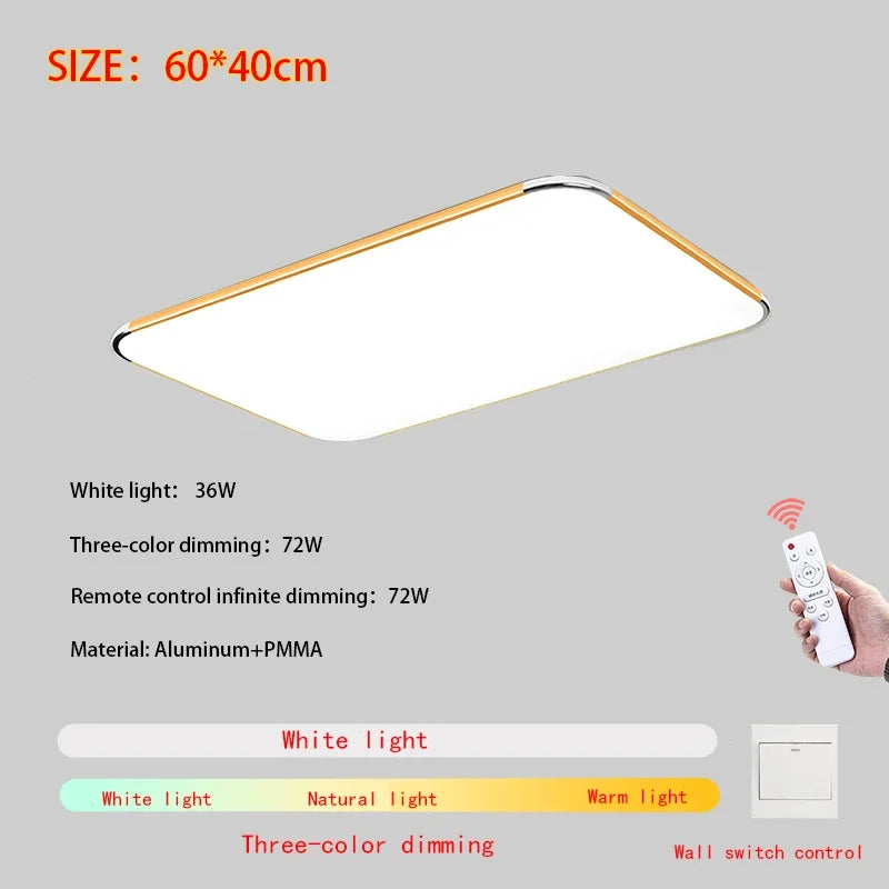 Modern Living Room Light 2024 Ultra Thin LED Ceiling Light Remote Control Dimming Restaurant Bedroom Balcony Panel Light