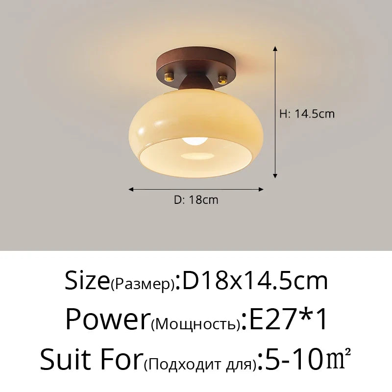 Grass Led Ceiling Lamp for Hallway, Entryway, Kitchen, Foyer Living Room Indoor Lighting white lamps home Decor Lustres fixture