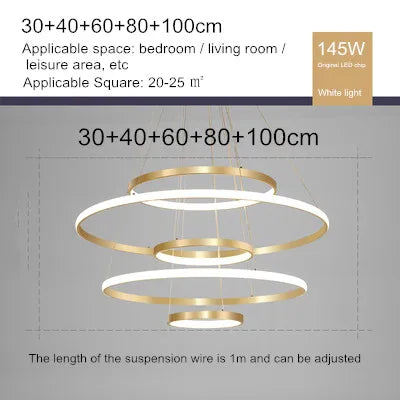 lustre moderne style nordique avec télécommande et anneau lumineux