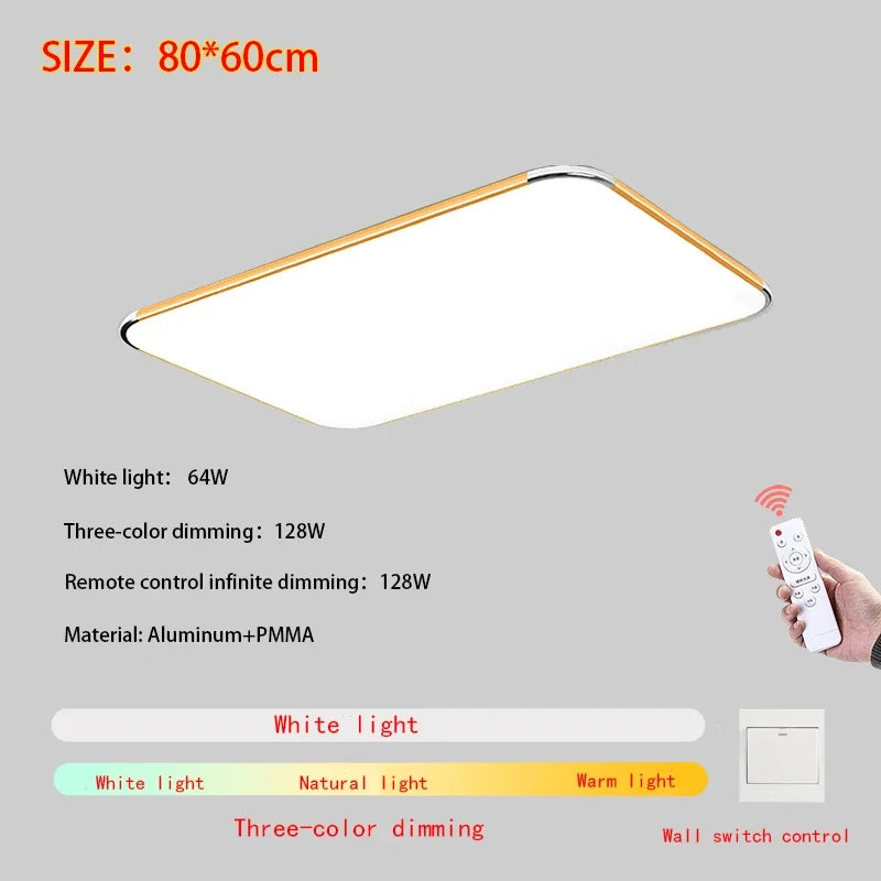 Modern Living Room Light 2024 Ultra Thin LED Ceiling Light Remote Control Dimming Restaurant Bedroom Balcony Panel Light