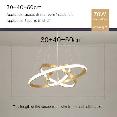 lustre moderne style nordique avec télécommande et anneau lumineux