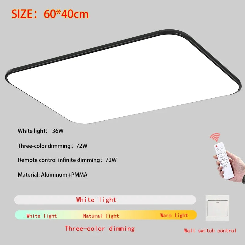 Modern Living Room Light 2024 Ultra Thin LED Ceiling Light Remote Control Dimming Restaurant Bedroom Balcony Panel Light