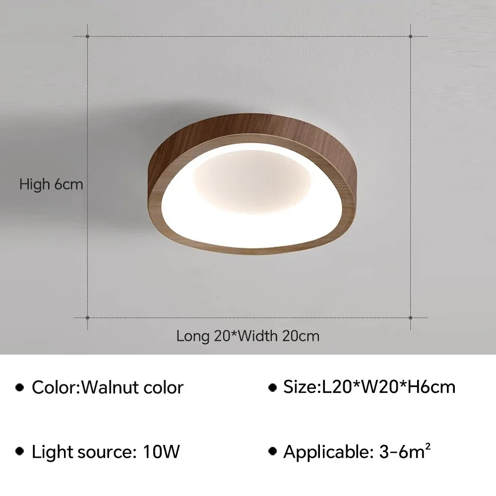 Plafonnier LED nordique pour salon