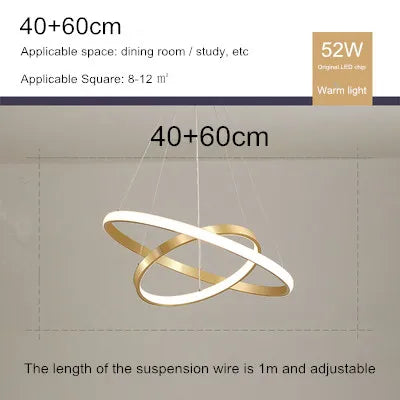 lustre moderne style nordique avec télécommande et anneau lumineux