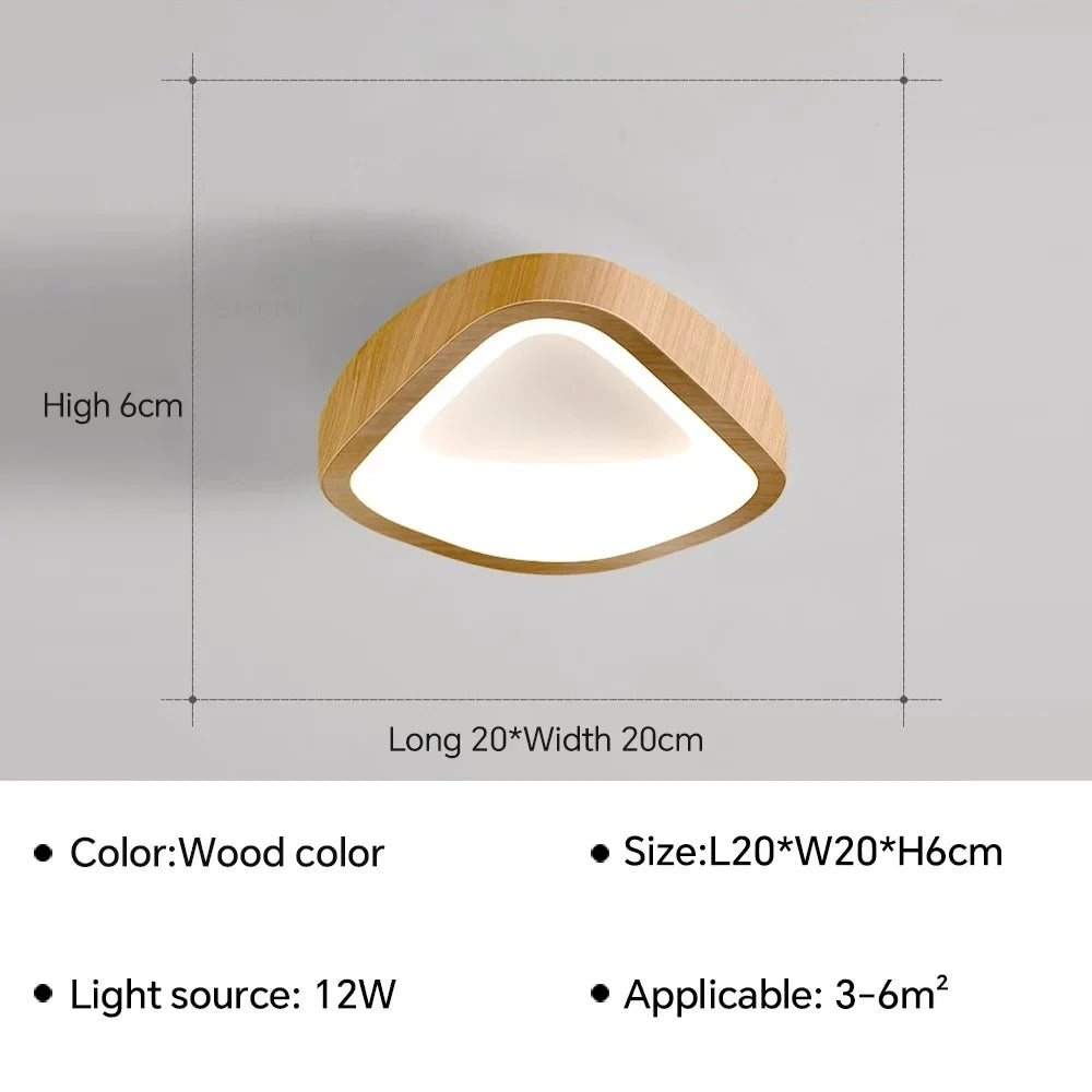 Plafonnier LED nordique pour salon