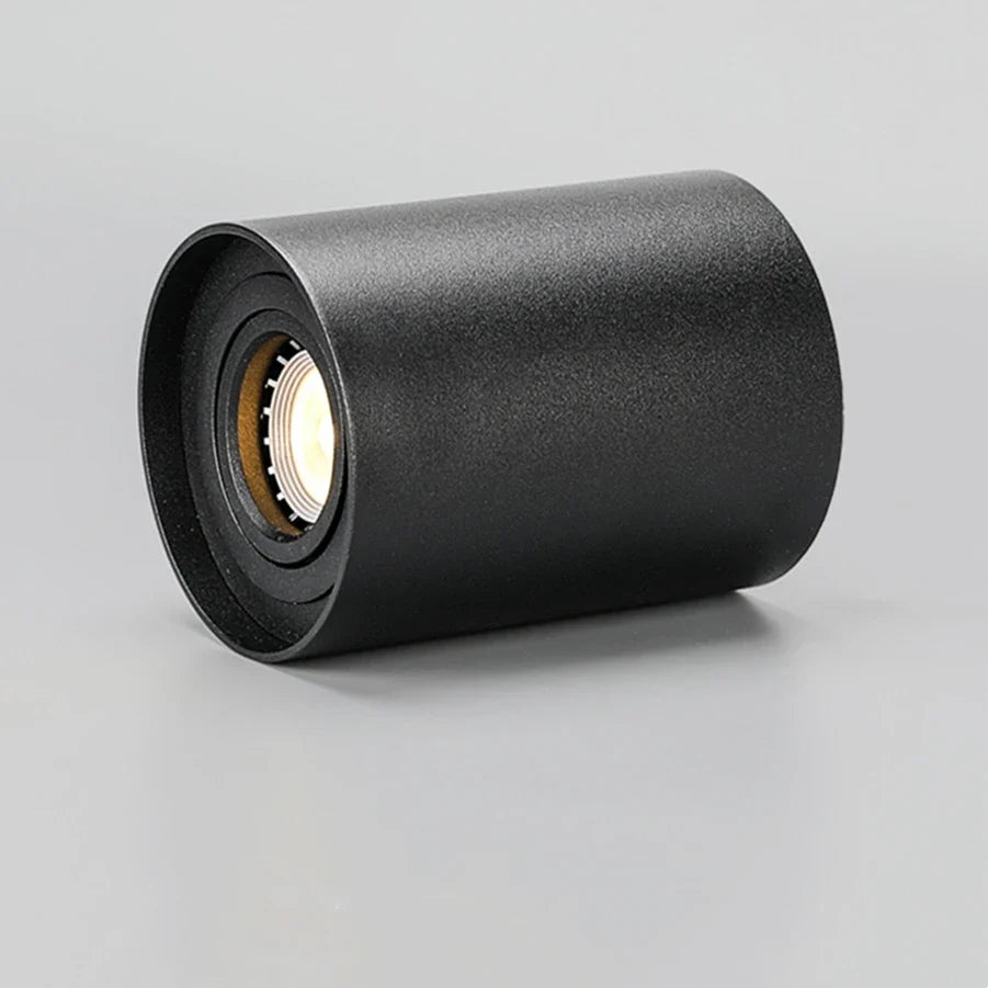 plafonnier led rond avec ampoule remplaçable et angle réglable