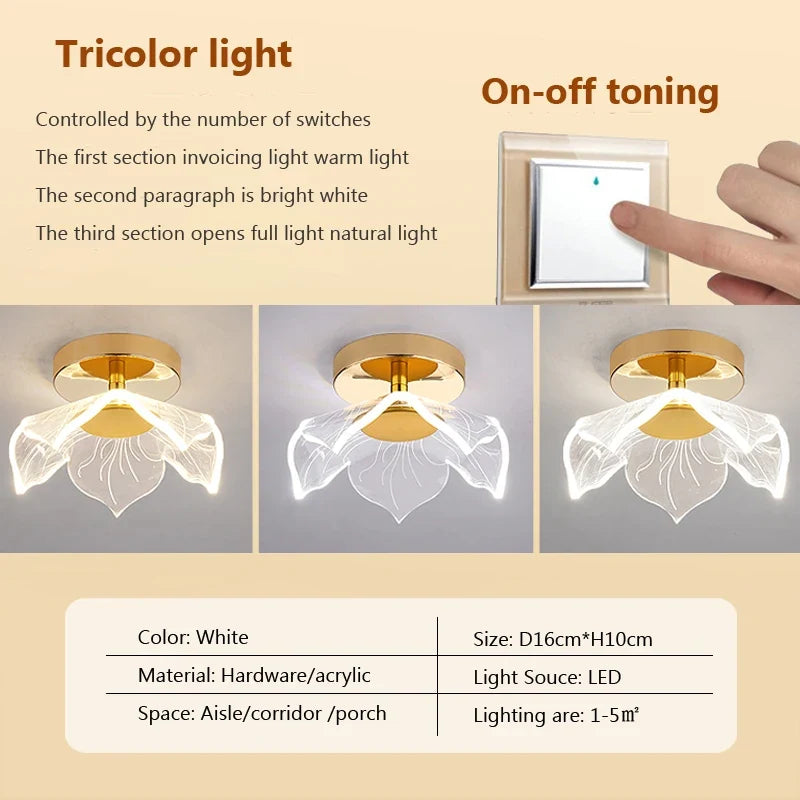 plafonnier led moderne en acrylique pour décoration intérieure
