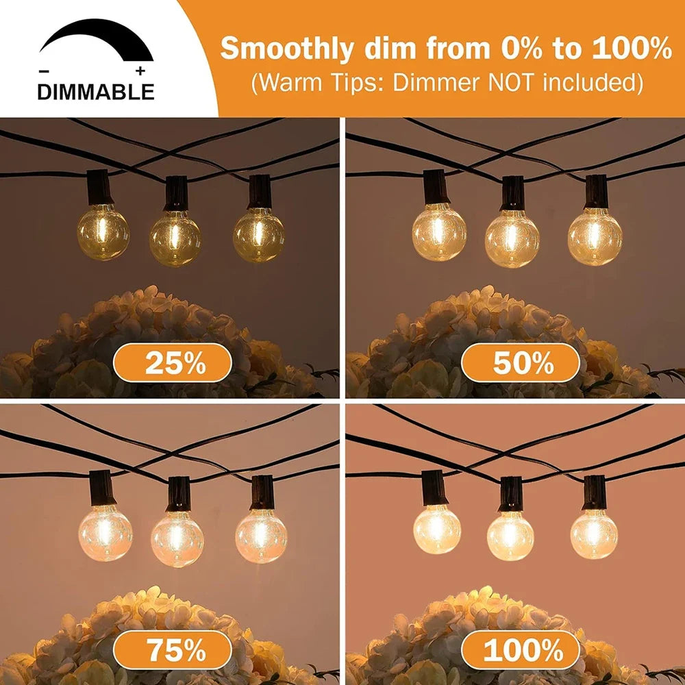 guirlande lumineuse extérieure led ampoules globe décoratives pour jardin terrasse
