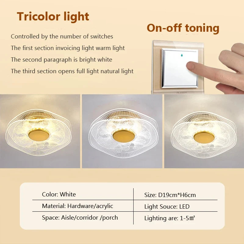 plafonnier led moderne en acrylique pour décoration intérieure