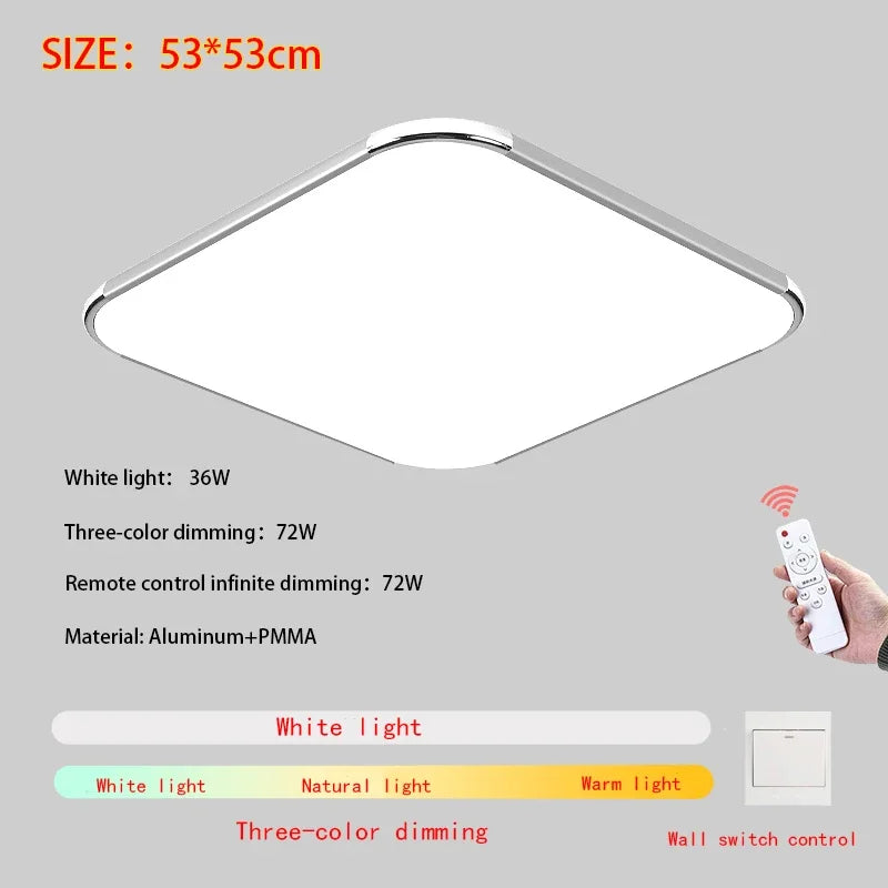 Modern Living Room Light 2024 Ultra Thin LED Ceiling Light Remote Control Dimming Restaurant Bedroom Balcony Panel Light