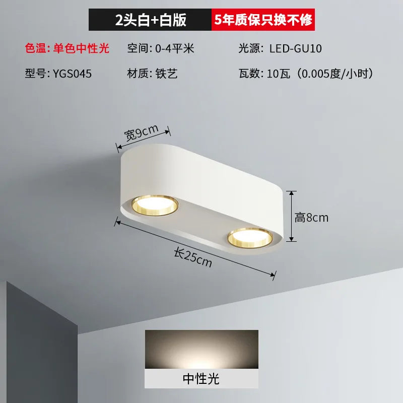 plafonnier double tête pour éclairage intérieur et extérieur