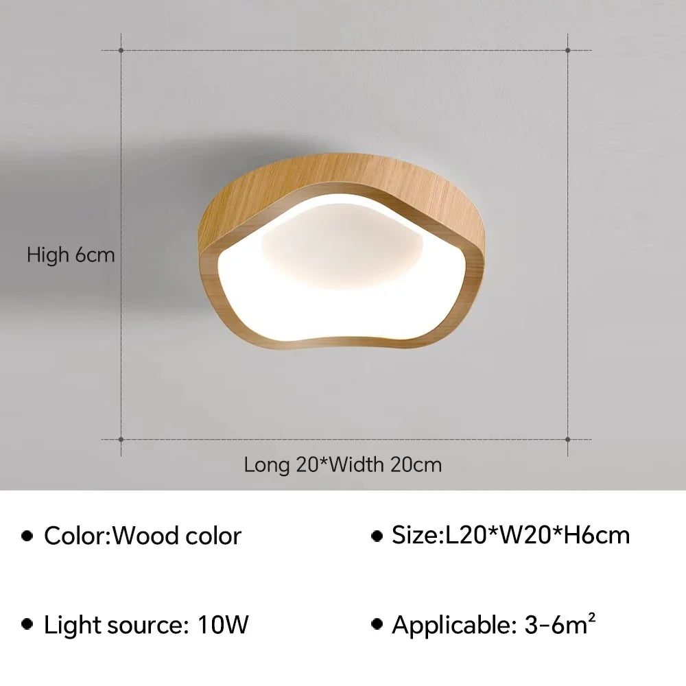 Plafonnier LED nordique pour salon