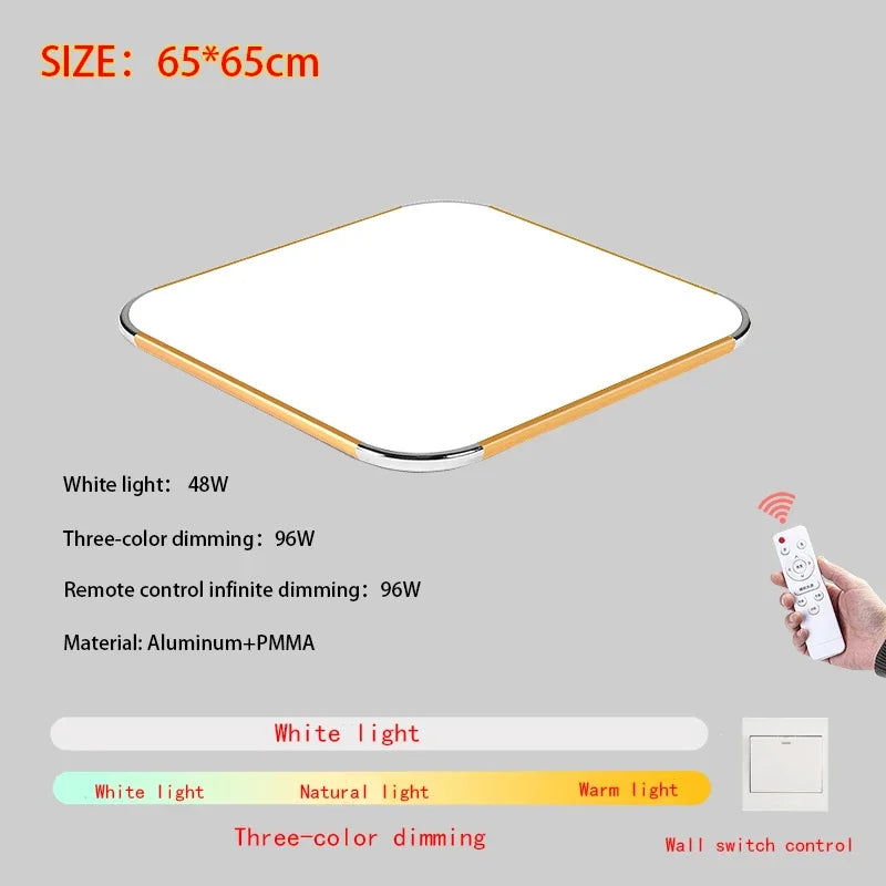 Modern Living Room Light 2024 Ultra Thin LED Ceiling Light Remote Control Dimming Restaurant Bedroom Balcony Panel Light