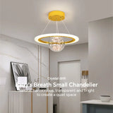 plafonnier led moderne pour décoration intérieure et éclairage élégant