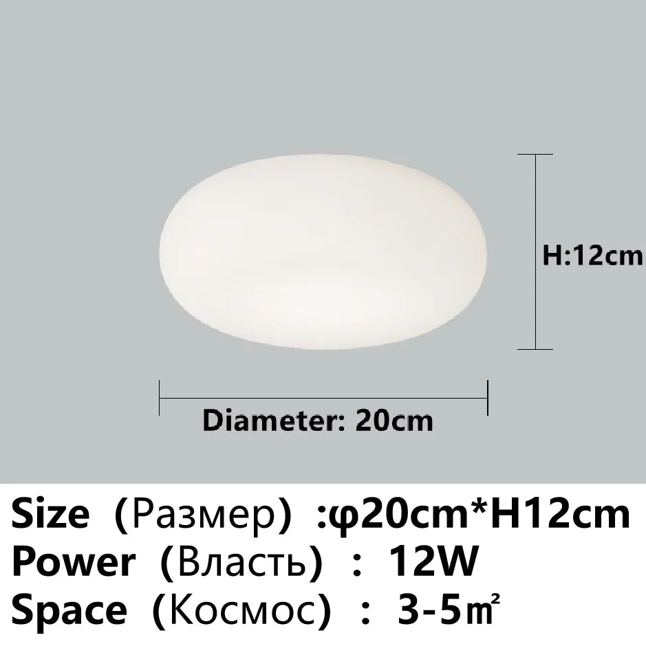 Lustre LED Apple modernes maison salon chambre couloir porche balcon