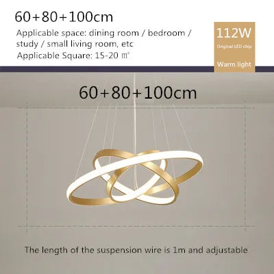 lustre moderne style nordique avec télécommande et anneau lumineux