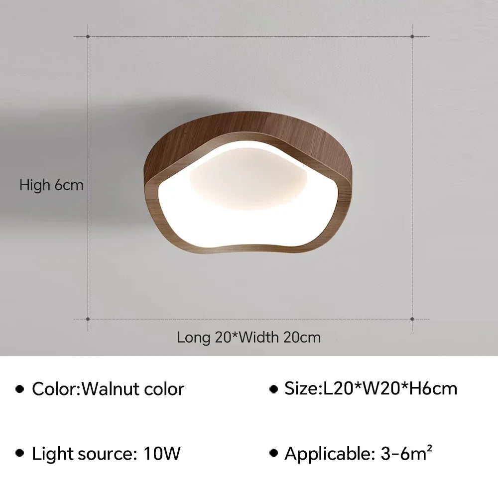 Plafonnier LED nordique pour salon