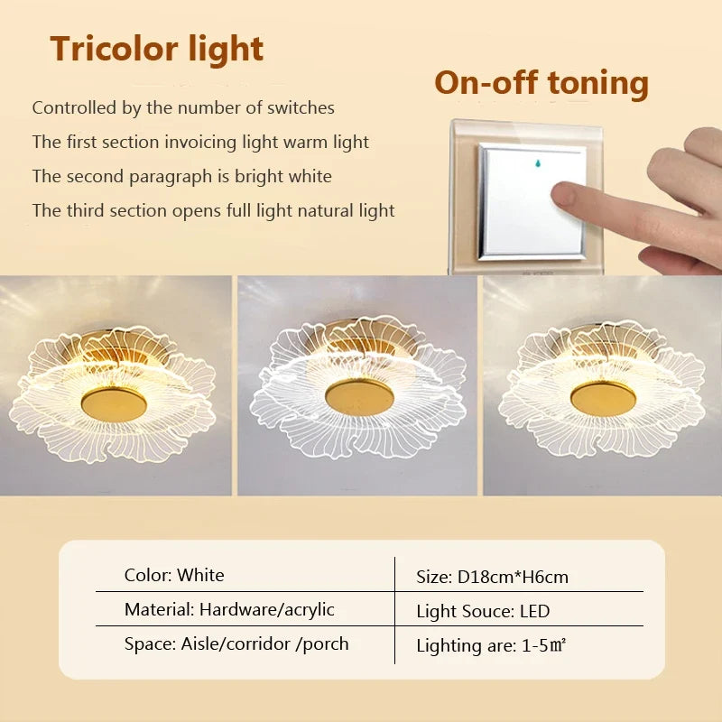 plafonnier led moderne en acrylique pour décoration intérieure
