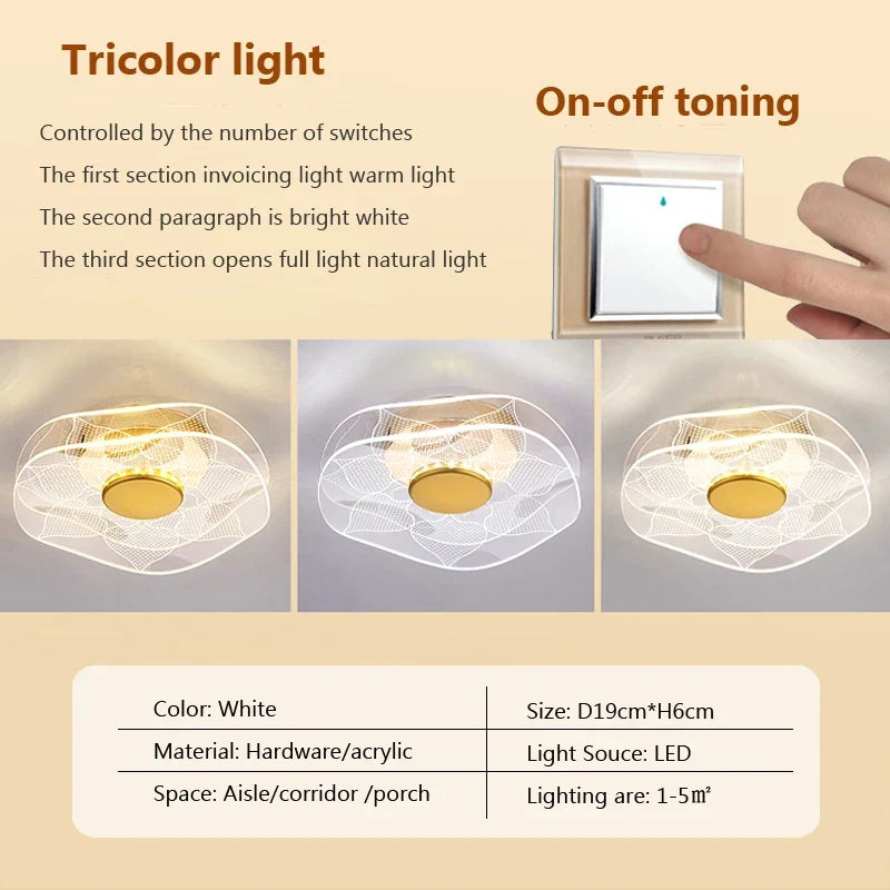 plafonnier led moderne en acrylique design pour intérieur décoratif