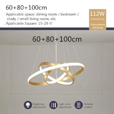 lustre moderne style nordique avec télécommande et anneau lumineux