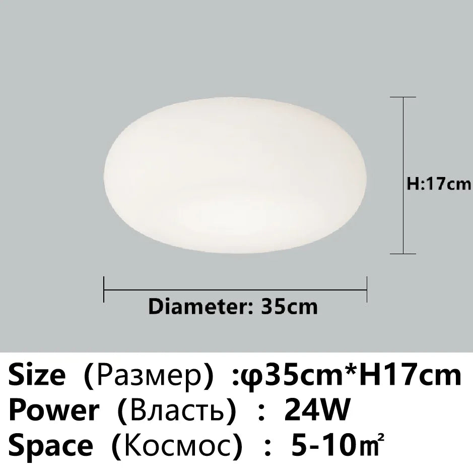 Lustre LED Apple modernes maison salon chambre couloir porche balcon