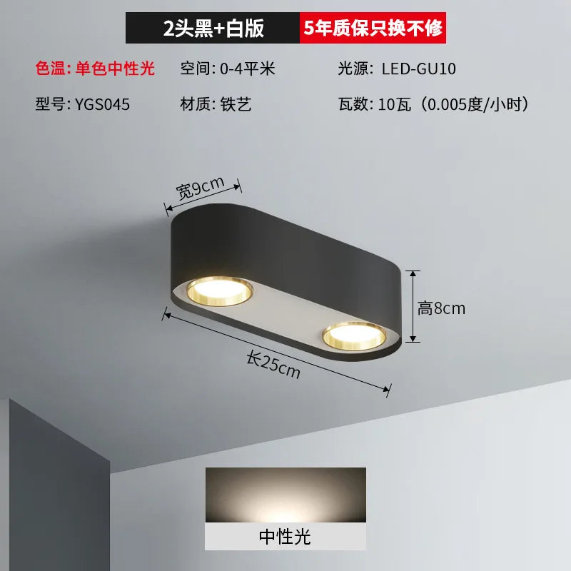 plafonnier double tête pour éclairage intérieur et extérieur